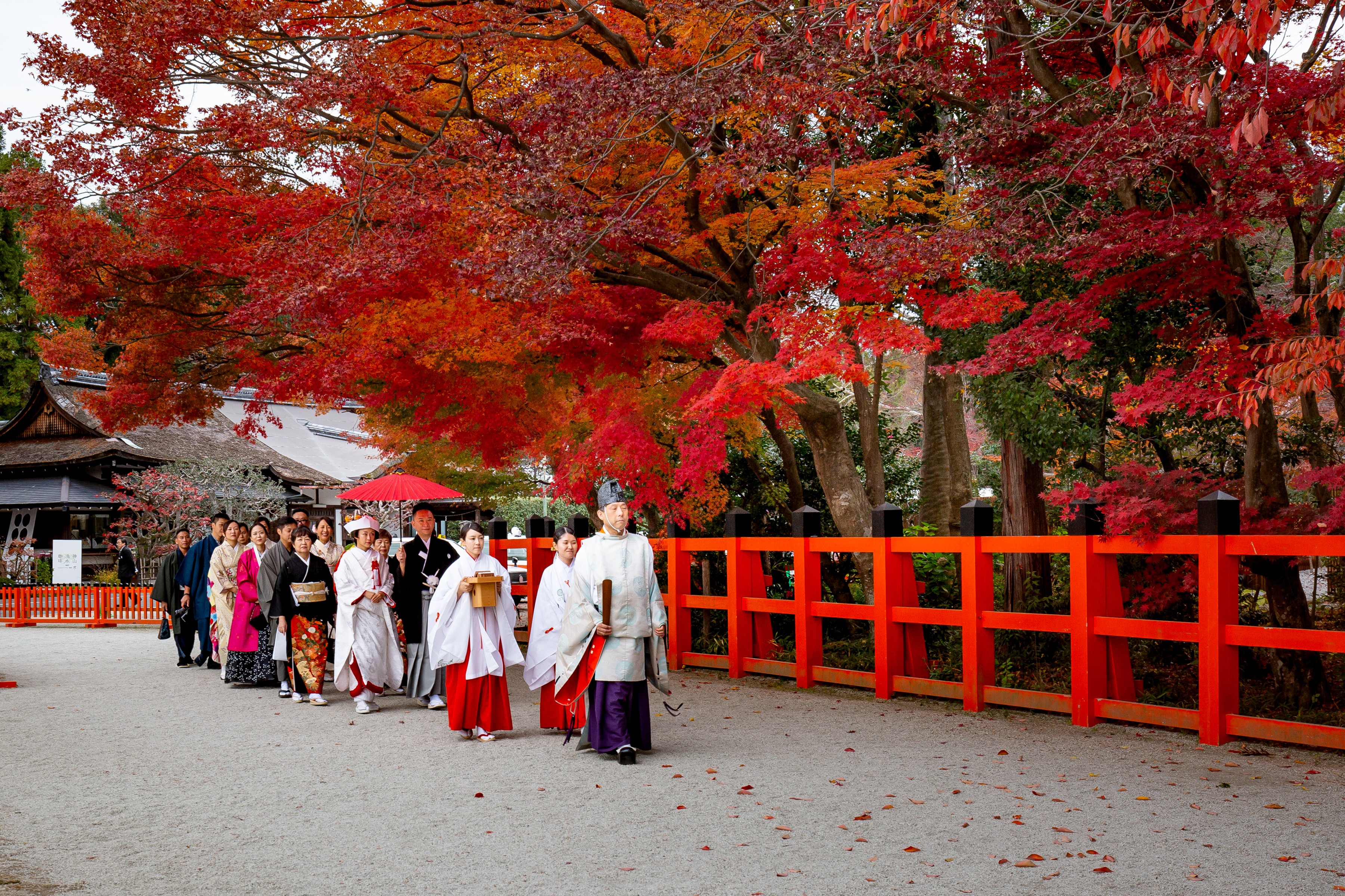 Wide landscape shot at sunset of rolling green hills.