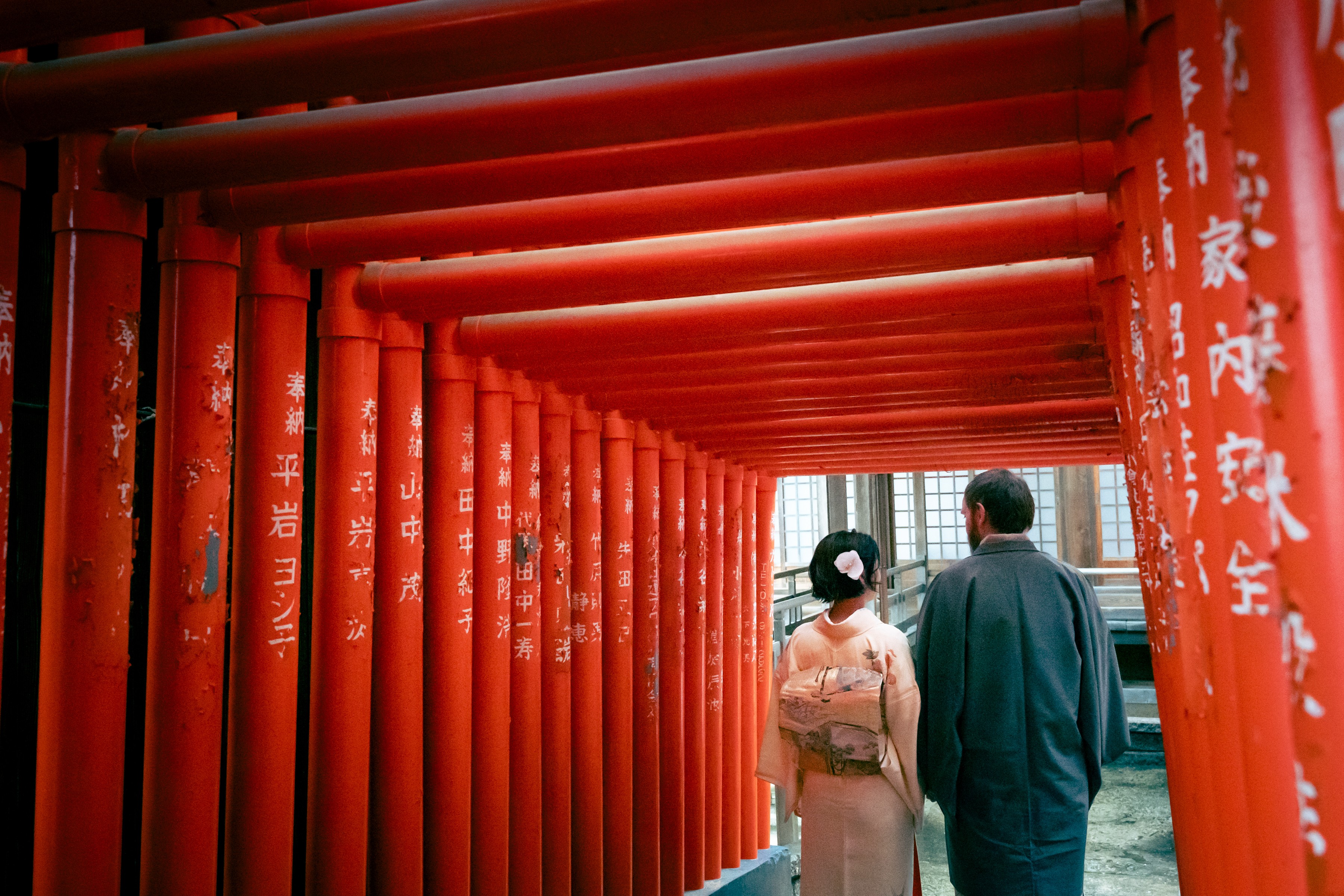 3 flowers placed in a vintage glass jar with a soft green background.