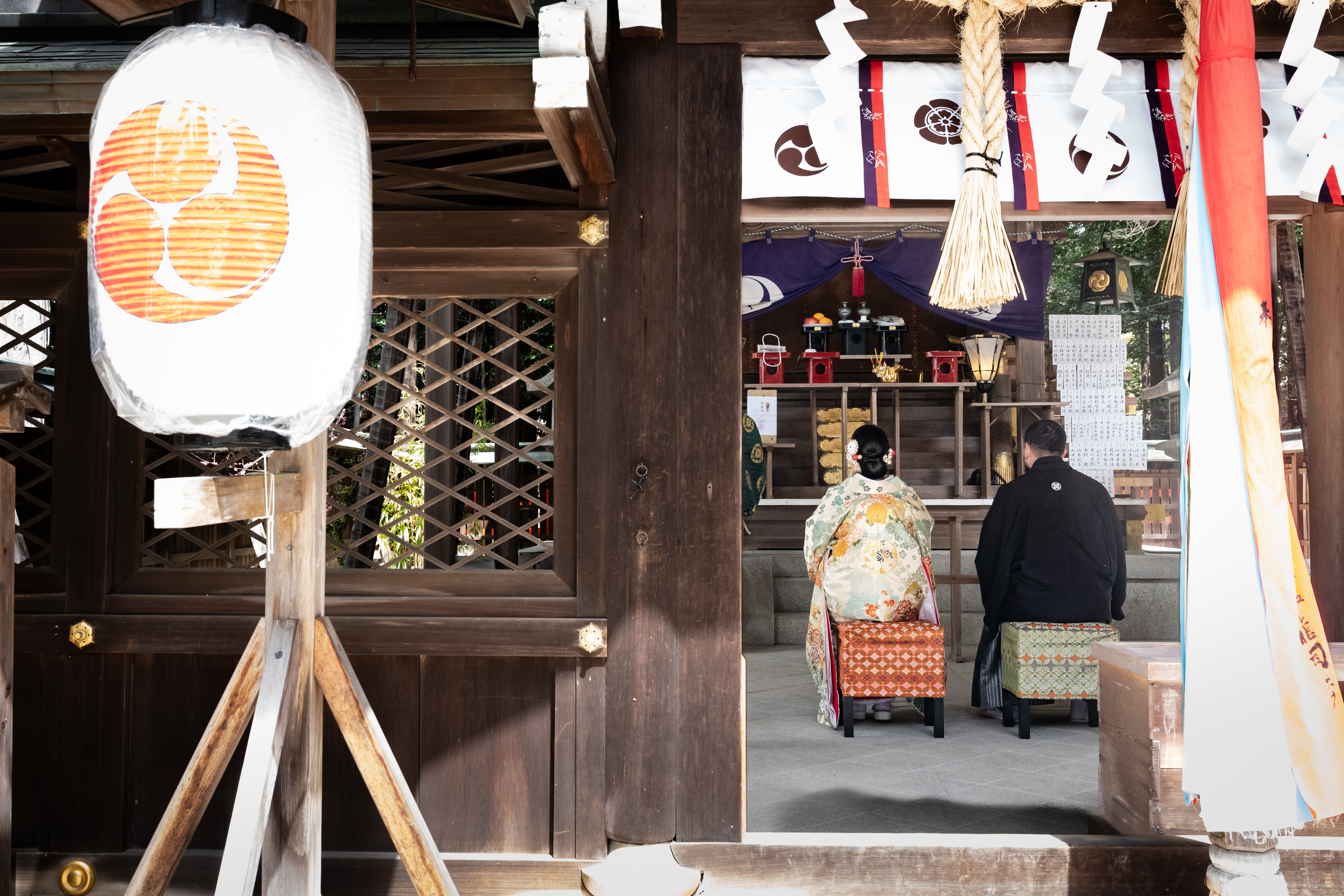3 flowers placed in a vintage glass jar with a soft green background.